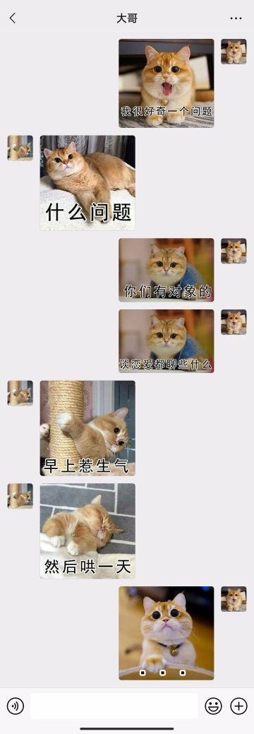 【表情包专栏】这就是你们谈恋爱的日常？