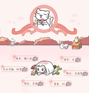 猫小咪的自我介绍