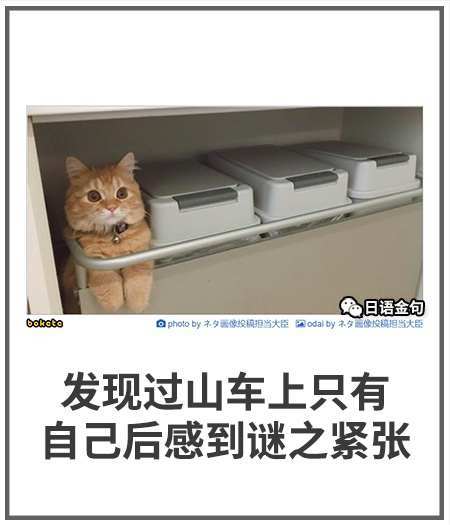 六月阵营月赛开始报名!截图