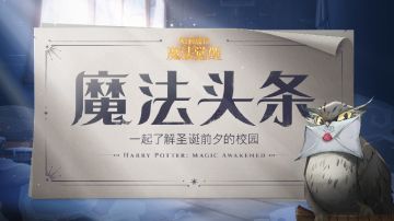 第2期 神秘圣诞礼物，小雪鸮的特别发现