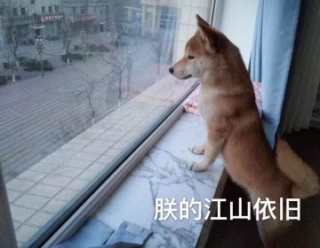 别拦我，我要吐槽！