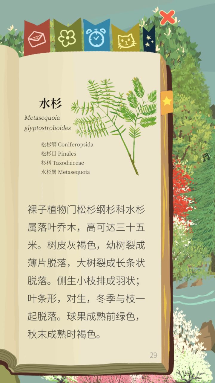 水杉截图