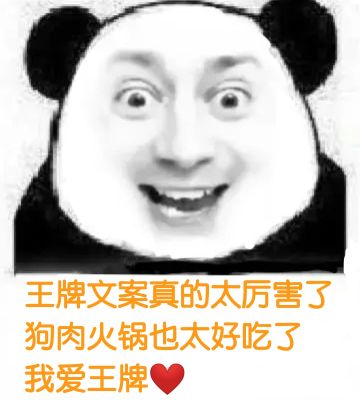 【10月23日已更新】全角色语音出处、翻译整理