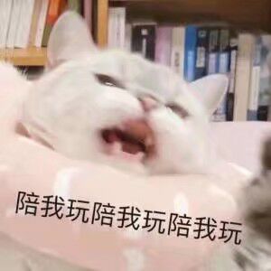 【福利】欢度双节！逃脱者好礼相送！