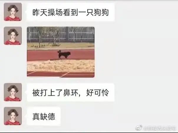 来亿点沙图Day2截图