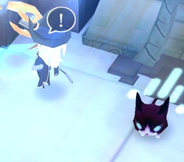 后期神秘猫咪获取方法及技能