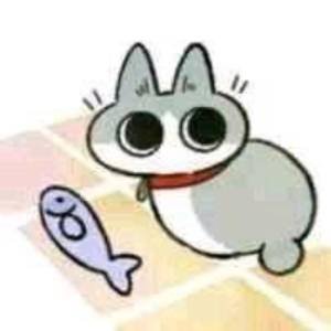 有无好集美带我飞截图