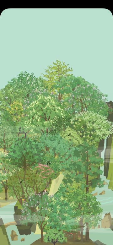 树种四季形态表（持续更新）