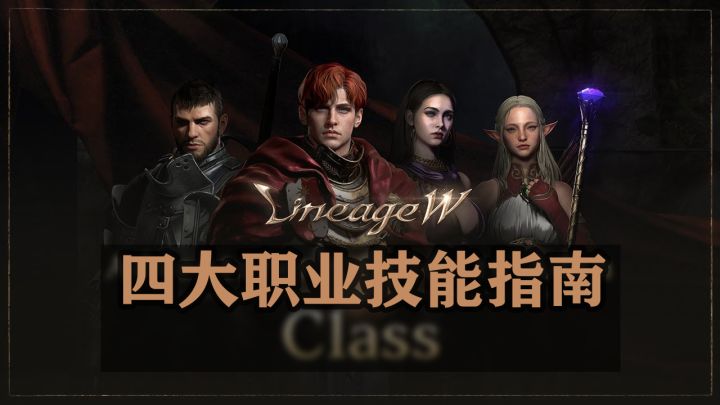 【中字】王族,骑士,妖精,法师技能入门指南【天堂W】四大职业技能截图
