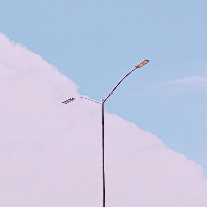 扫墓扫墓截图