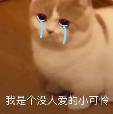 最能拯救社恐的是什么？不是打字聊天，而是……