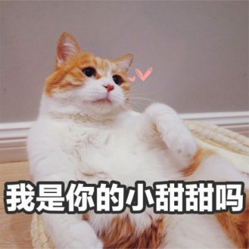 【已开奖】狗年旺旺，春节活动开启！一起捉迷肠~~