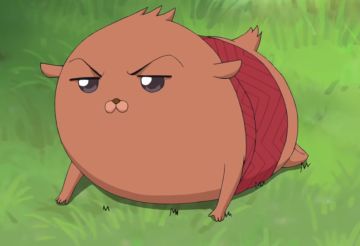 最萌生物——可玩可逗还好吃的皮卡多！