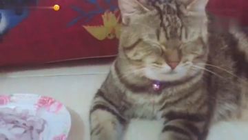 卡牌翻新|据说这些神仙全被送去整容了.......