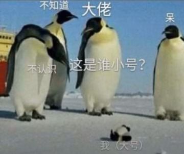 关于新老区选区建议