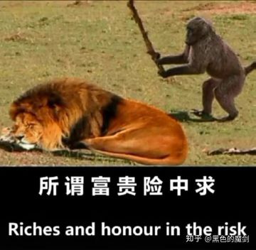 前期发展以及门派选择攻略