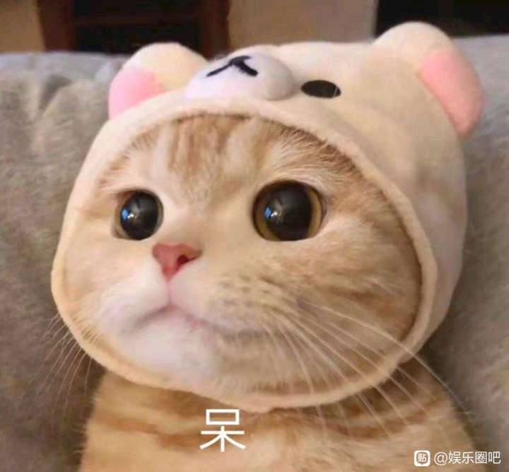 不知道作者大年会搞个龙马跟暗女的皮肤?截图