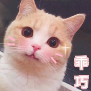 内测专区招募公告（内含双旦新版本前瞻）