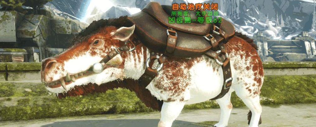 方舟手游凶齿豨吃什么饲料驯养截图