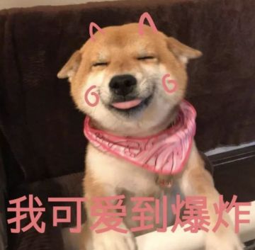 倒计时5天 | 来了来了游戏内容它来了~