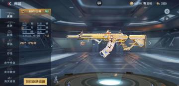 大神评测：新赛季武器MK47-云舞评测，能比肩81式吗？