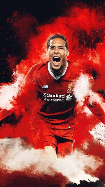 巨星来袭---TOTS范迪克