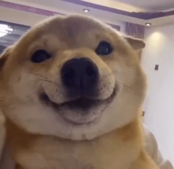 对于还在坚持的惊涛玩家的一点建议