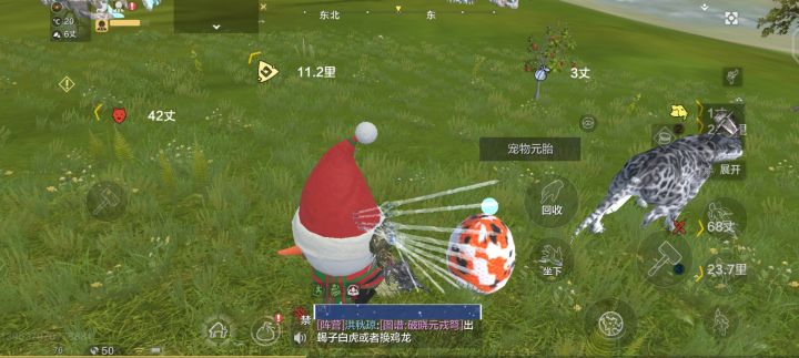 千年蛋的样子没千年蛋的命截图