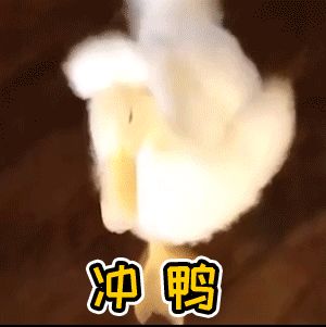 【私测招募│这游戏的私测招募终于开启了！想先人一步体验游戏拿奖励！就都给我点进来康！】