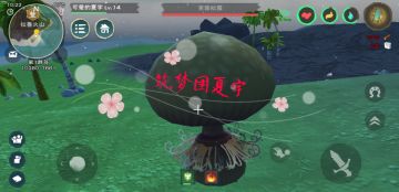 《创造与魔法》攻略：松露位置