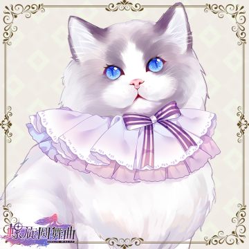 一个宠物盘点&新宠猜想（答案“开估”！）