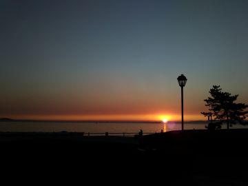 有一种很深的预感，版号快来了