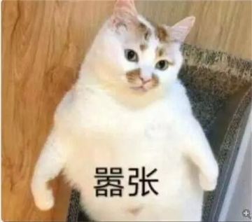 【转载】3.3测试服V2｜绯玉丸自动捡垃圾，女王希儿夏装上线