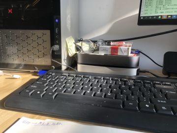 陪伴51号成长的蜘蛛🕷️