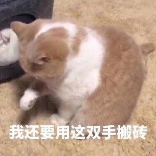 关于月球篇2.0的一点点说明