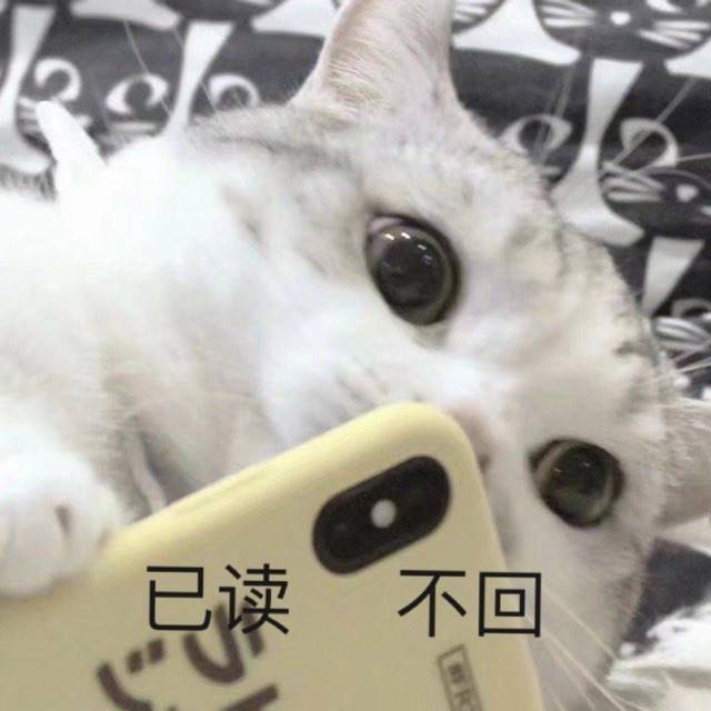 只要别让光子做就行截图