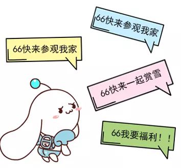 喜大普奔！臻品、钻石、双飞...这波迎公测周年礼太过瘾啦！