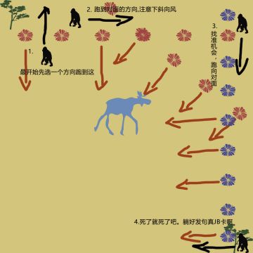 跑风最强攻略，再不会跑风就要检讨一下了