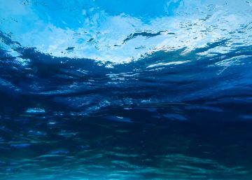 【浪的科普】你知道深海恐惧症吗？