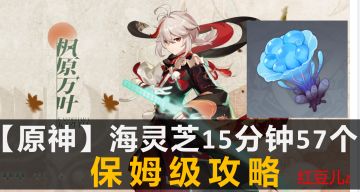 【原神】万叶突破材料：海灵芝-15分钟57个 保姆级攻略