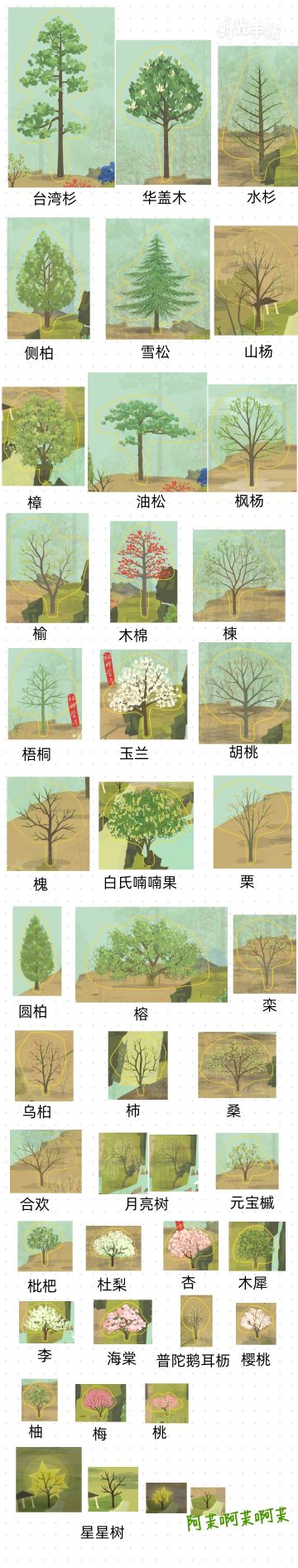 分享一下自己记录的已有树种（工作太忙弃坑了，感谢朋友们的支持）