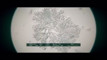 关于第五章剧情解析