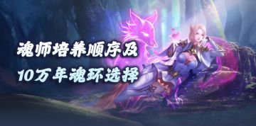 魂师对决：魂师培养顺序及10万年魂环优先选择深度分析