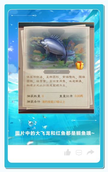 你为什么钓不到鱼？大漠叔叔亲自揭秘，什么才是真正的海钓！