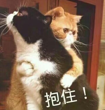 星星的冒险超话