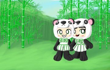 熊猫情侣，一个网友的要求