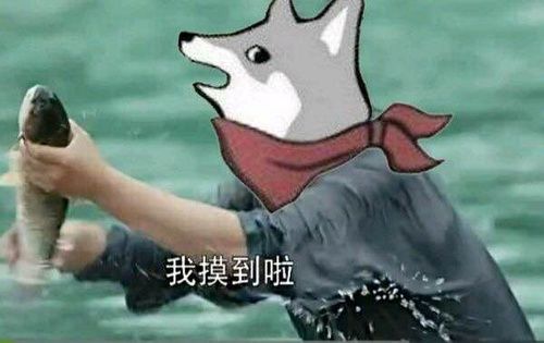 三单体狙击CE-5截图