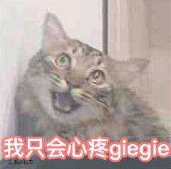 有没有加好友的，满配华子黑星助战截图
