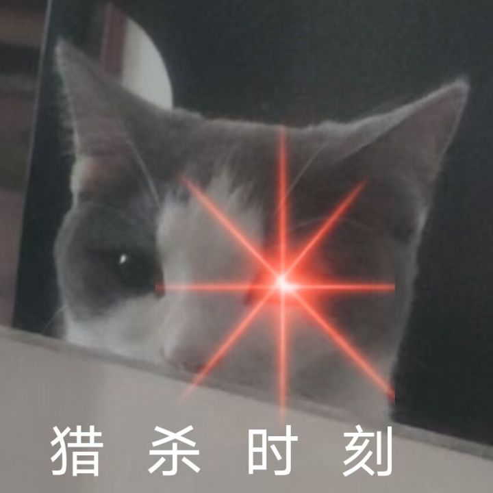 大佬们好呀！截图