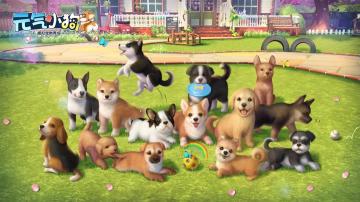 倒计时1天 |《元气小狗》开测公告